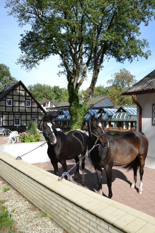 Landhotel Hof Barrl Schneverdingen Exterior foto